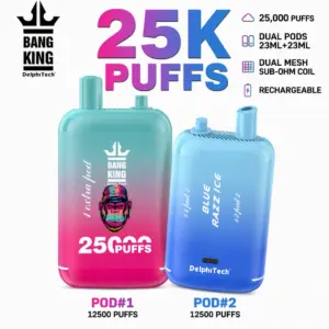 BANG KING 25K Vape – 25.000 Züge mit Mesh Coil & USB-C Akku