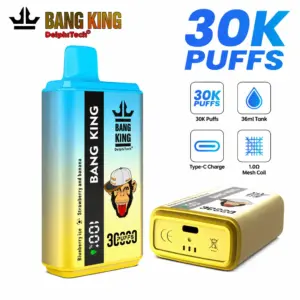 BANG KING 30K Vape – 30.000 Züge mit Mesh Coil & USB-C Akku