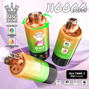 BANG LEADER 110K Puffs
