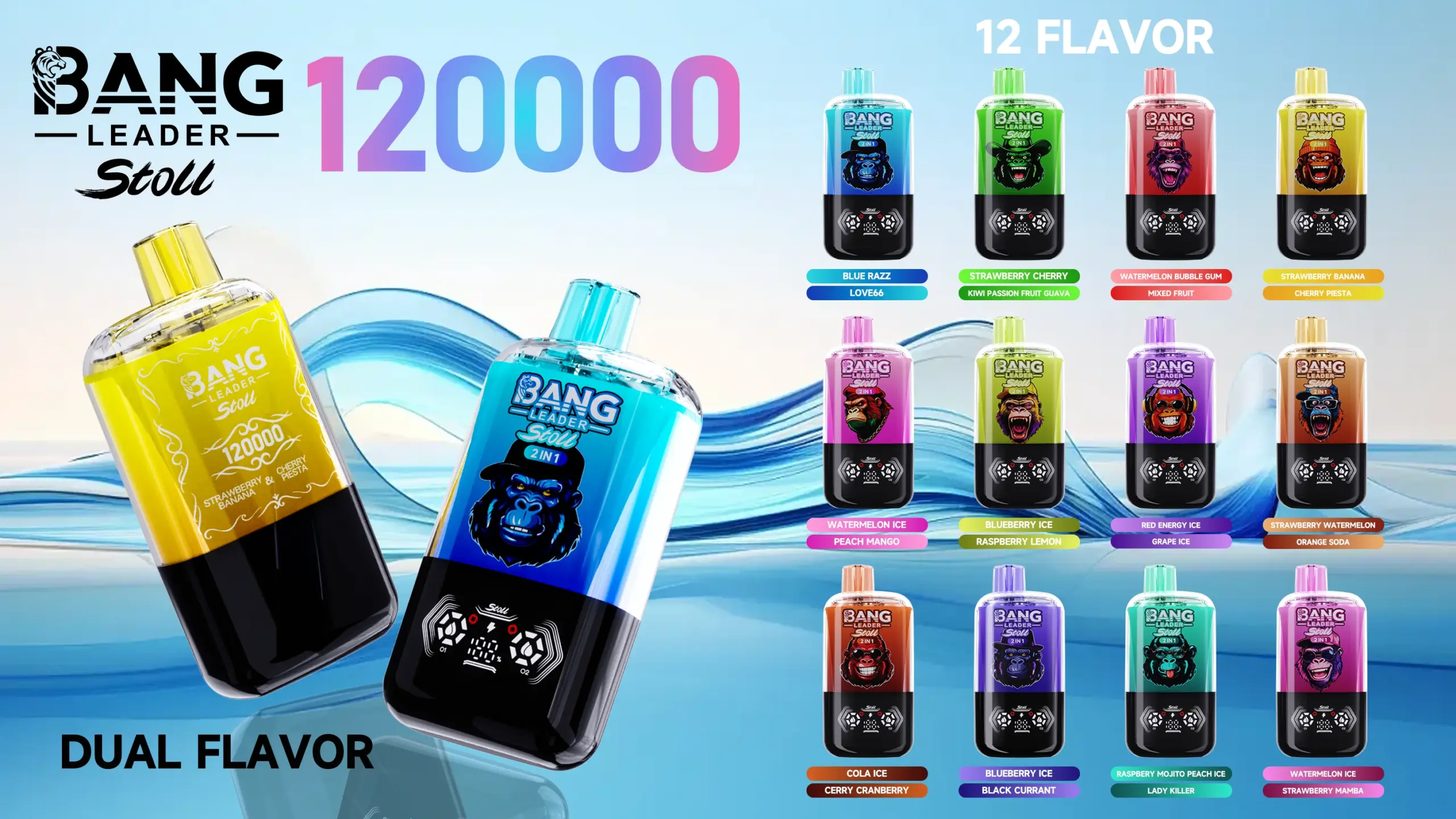 BANG LEADER 120K 16 scaled