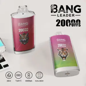 BANG LEADER 20K Puffs