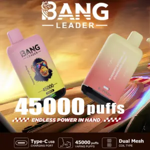 BANG LEADER 45K Puffs