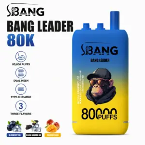 BANG LEADER 80K Vape – 80.000 Züge mit Smart Flavor System & Mesh Coil